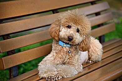 英国新一周实体游戏销量榜 《FIFA23》继续登顶